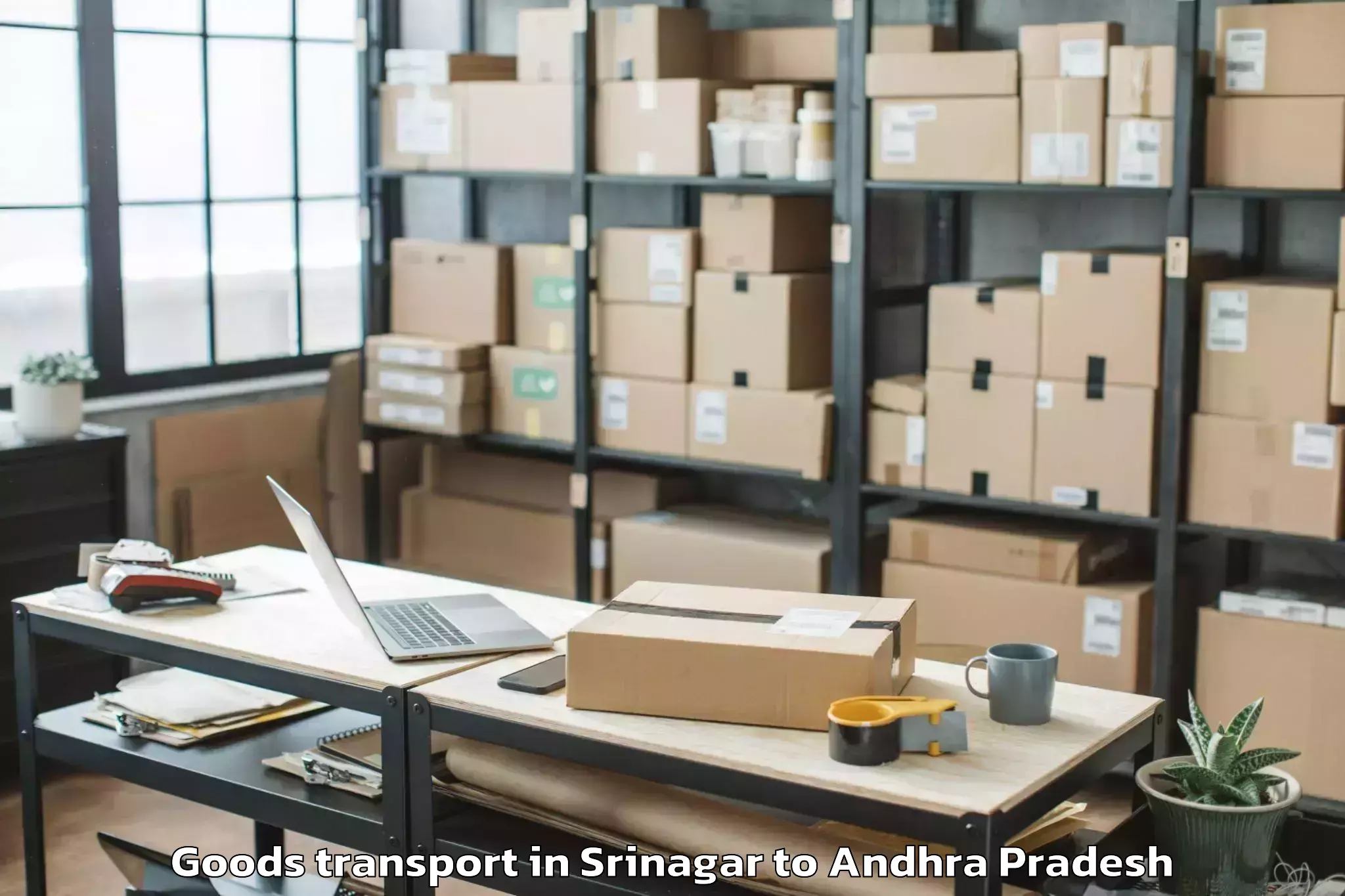 Book Srinagar to Amudalavalasa Goods Transport Online